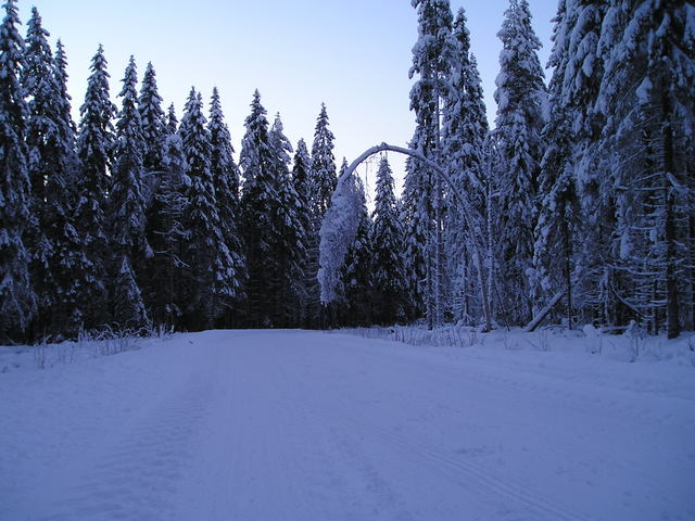 p1010017.jpg