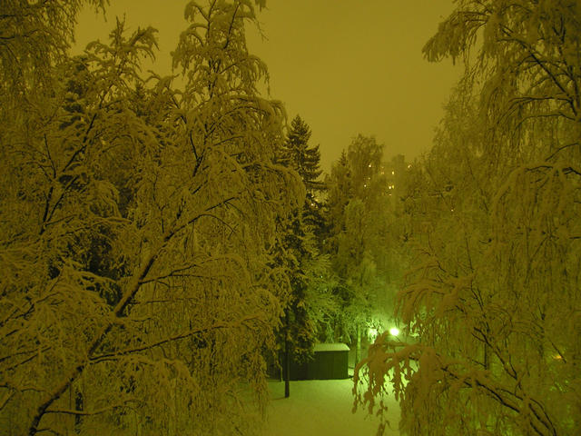 p1130376.jpg