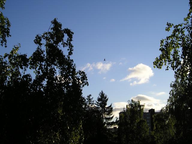 p5230003.jpg