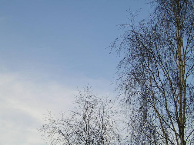 pb150006.jpg