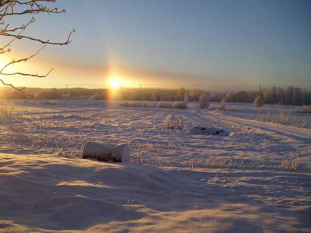 pc160011.jpg