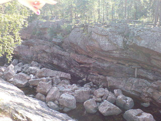 dsc00116.jpg