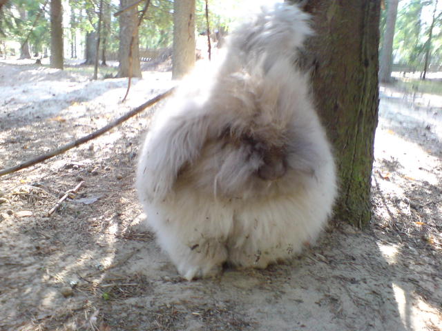 dsc00117.jpg
