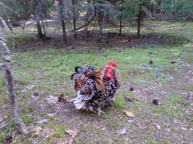dsc00119.jpg
