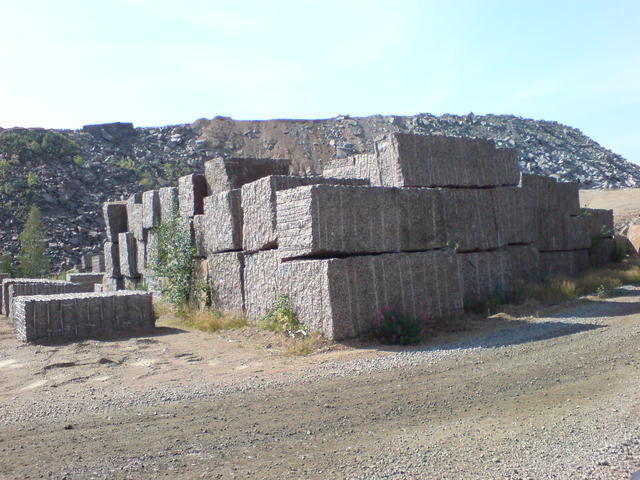 dsc00123.jpg