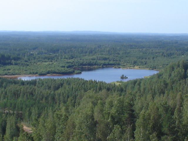 dsc02700.jpg