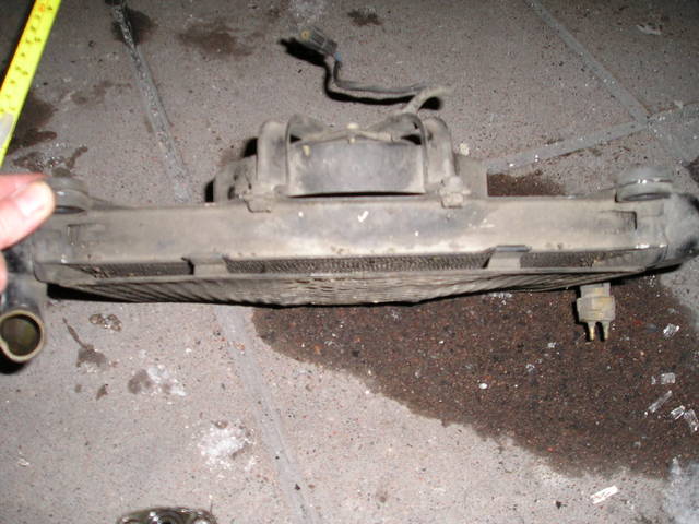 p3060026.jpg