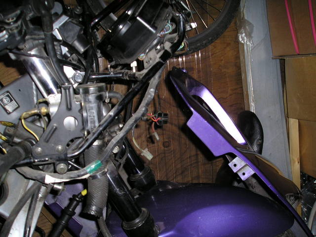 p3060033.jpg