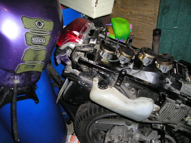 p3060036.jpg
