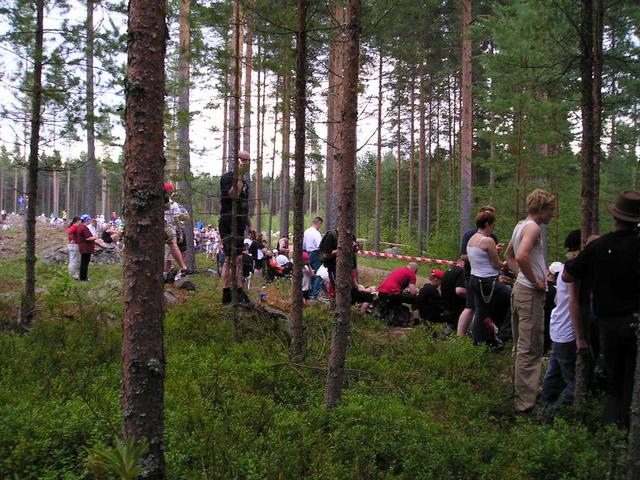 p8060040.jpg