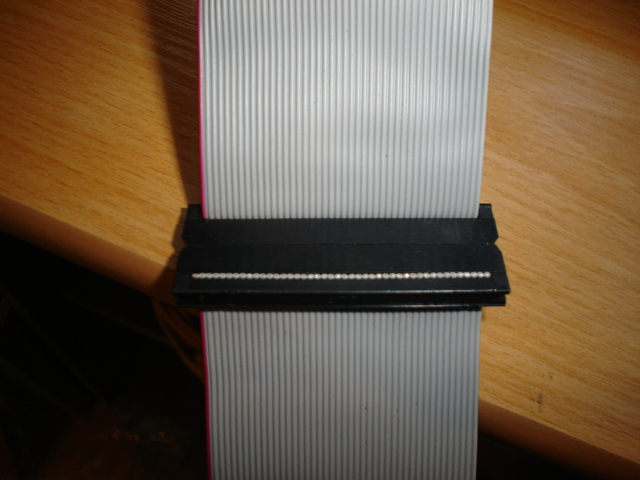 dsc01951.jpg