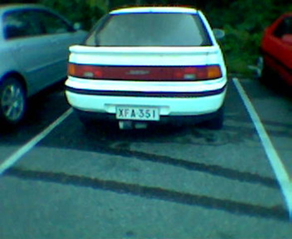 323fl001.jpg