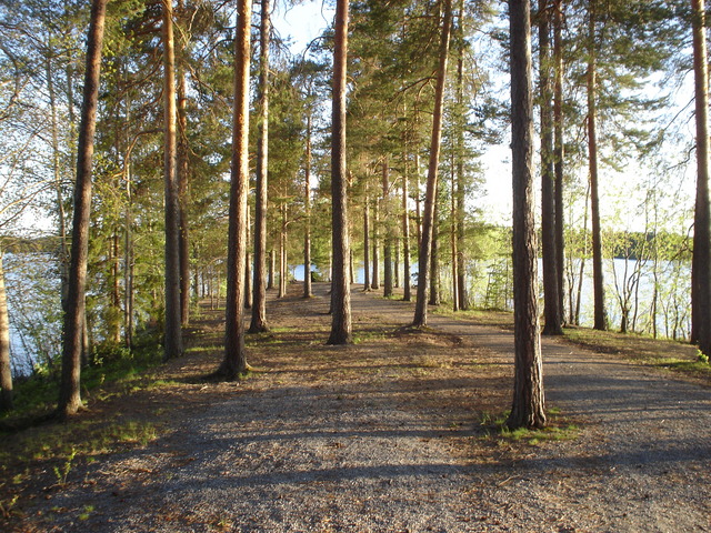 dsc02434.jpg