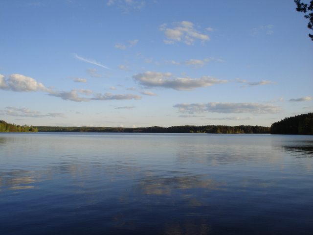 dsc02437.jpg