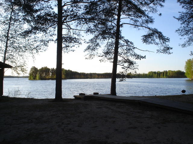 dsc02440.jpg