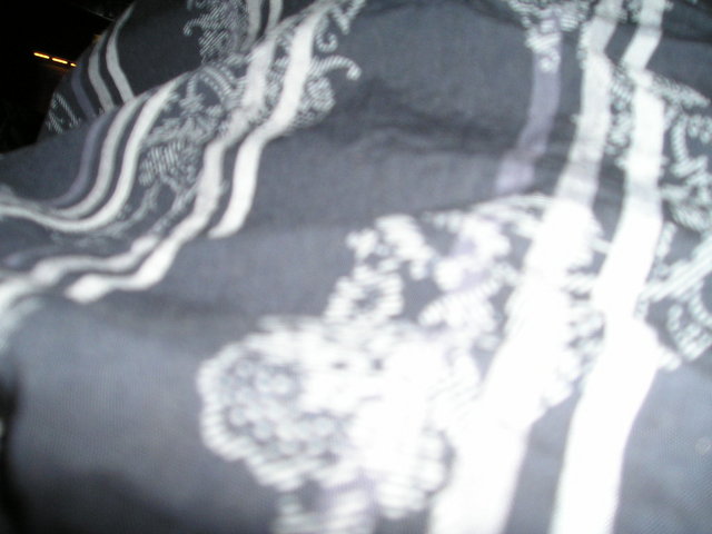 p1010034.jpg