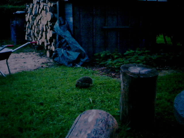 kokkola_0012.jpg