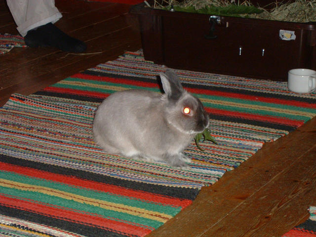 dscf0007.jpg