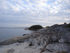 dsc02694.jpg