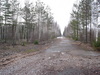 dsc02196.jpg