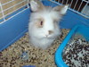 dsc00044.jpg