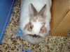 dsc00045.jpg