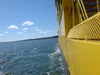 dsc00049.jpg
