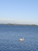 dsc02662.jpg