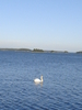 dsc02663.jpg