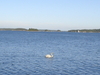 dsc02664.jpg