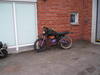 p1010008.jpg