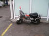 p1010009.jpg
