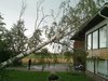 20100726_003.jpg