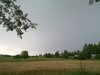 20100726_004.jpg