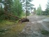 20100726_005.jpg