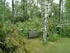 20100726_011.jpg