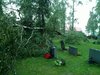 20100726_013.jpg
