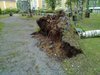 20100726_014.jpg