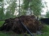 20100726_016.jpg