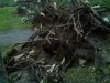 20100726_020.jpg