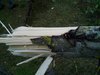 20100726_023.jpg