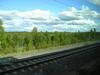 p5280008.jpg