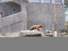 p1010005.jpg