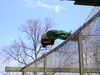 p1010007.jpg