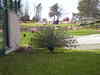 p1010009.jpg