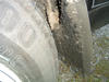 dscf0081.jpg