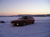 p1010016_2.jpg