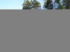 dsc02519.jpg