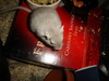 dsc02136.jpg