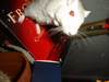 dsc02137.jpg